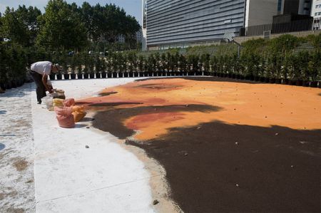 20101203107